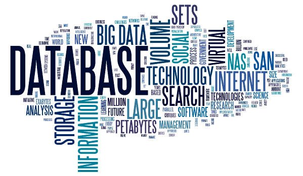 Database Solutions V P Global Services